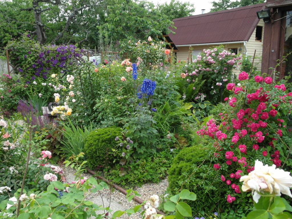 Rožes sodininkė pataria derinti su daugiamečiais augalais. Asmeninio archyvo nuotr.