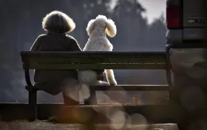 A woman sits on a park bench with her dog along the waterfront beach of Ambleside Park in West Vancouver