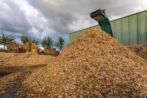 Crushing machine of wood and logs to process waste and transform into pellets